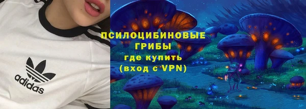 гашик Алзамай